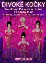 Travesti show Divoké kočky v Pravčicích