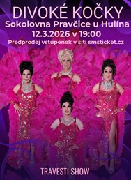 Travesti show Divoké kočky v Pravčicích