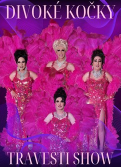 Travesti show Divoké kočky v Pravčicích