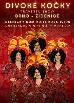 Travesti Divoké kočky v Brně