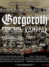 Heathen Strike over Brno VII