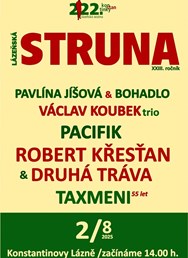 Lázeňská struna