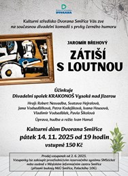 Zátiší s loutnou