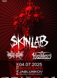 Skinlab, Fleshless, Swept Into Decay