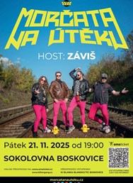 Morčata na útěku + Záviš
