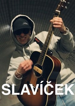 Slavíček - Prachatice