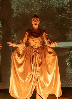 ENSAMBLE DAMIAN - Mauritius Vogt: Vertumnus vanitstis musice