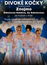 Travesti Divoké kočky ve Znojmě