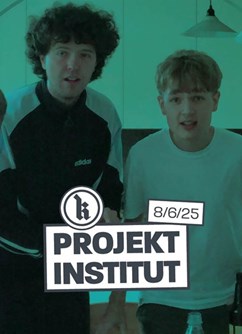 Projekt Institut