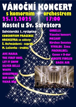 Vánoční koncert s Consortium Pragense Orchestra