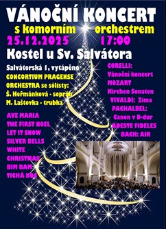 Vánoční koncert s Consortium Pragense Orchestra