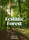 Ecstatic Forest | Jobbi Tao