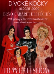 Travesti show - Divoké kočky