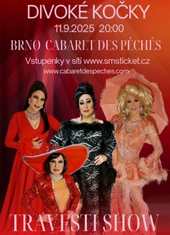 Travesti show - Divoké kočky