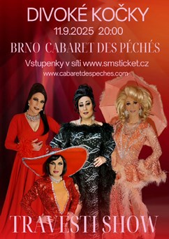 Travesti show - Divoké kočky