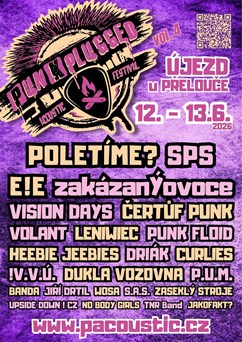 PUNKPLUGGED FESTIVAL vol. 4
