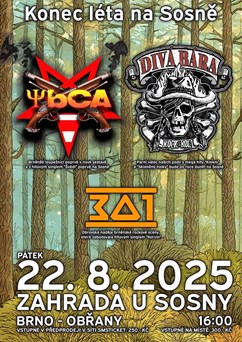 Divá Bára + YBCA
