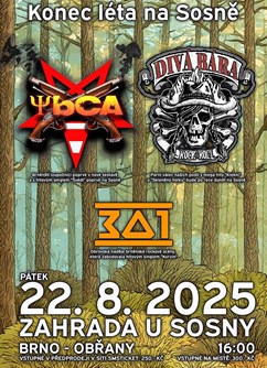 Divá Bára + YBCA