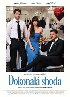 Dokonalá shoda  