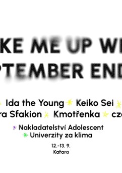 Wake Me Up When... (sinks, Ida The Young, Kutya...)
