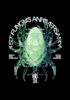 1st Fungus anniversary