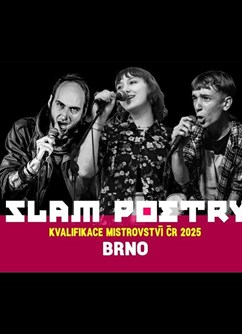 Slam poetry: Brněnská kvalifikace mistrovství ČR