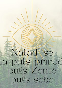 Lesní ladění se zvukovou koupelí