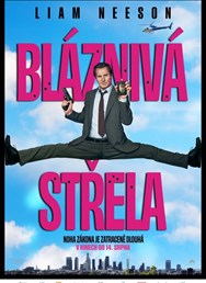 Bláznivá střela  (USA)  2D