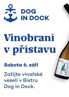 Vinobraní v přístavu