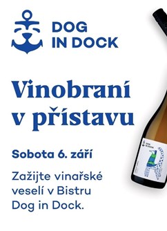 Vinobraní v přístavu