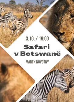 Safari v Botswaně
