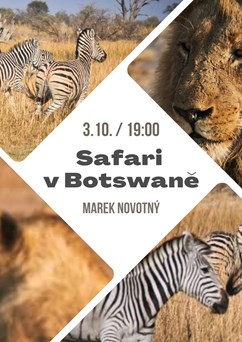 Safari v Botswaně