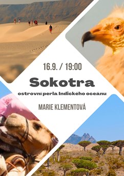 Sokotra: ostrovní perla Indického oceánu