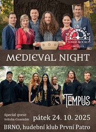 Medieval Night (Brno)
