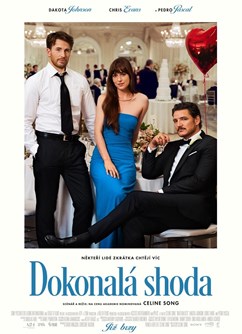 Dokonalá shoda