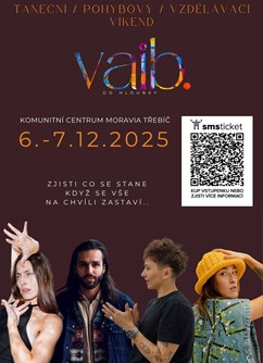 Vaib 2025 / Do hloubky