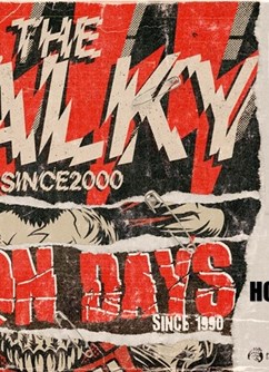Vykřičníky tour 2025: The Fialky, Vision Days, VHS