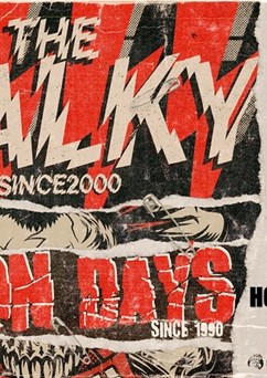 Vykřičníky tour 2025: The Fialky, Vision Days, VHS