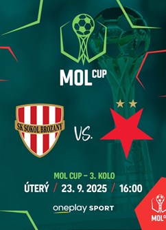 SK Sokol Brozany - SK Slavia Praha | sektor hostů