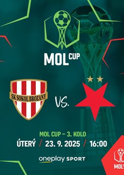 SK Sokol Brozany - SK Slavia Praha | sektor hostů