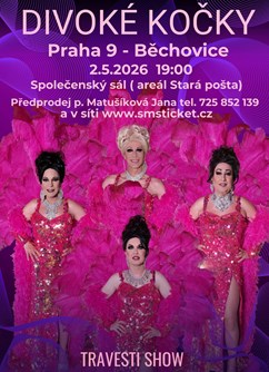 travesti Divoké kočky v PRAZE