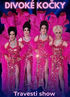 travesti Divoké kočky v PRAZE