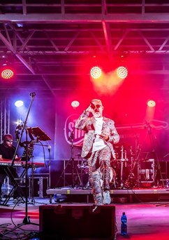 Stinga - The Sting Tribute Band
