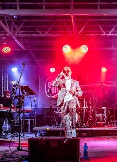 Stinga - The Sting Tribute Band