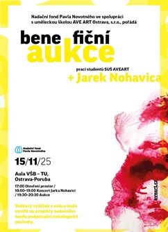 Benefiční aukce