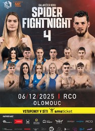 Spider Fight Night 4