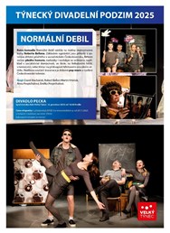 Normální debil