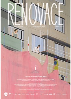 Renovace