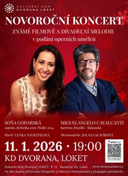 Novoroční koncert
