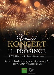 Vánoční koncert 